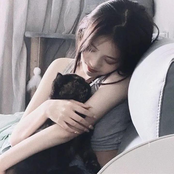 追爱自由行
